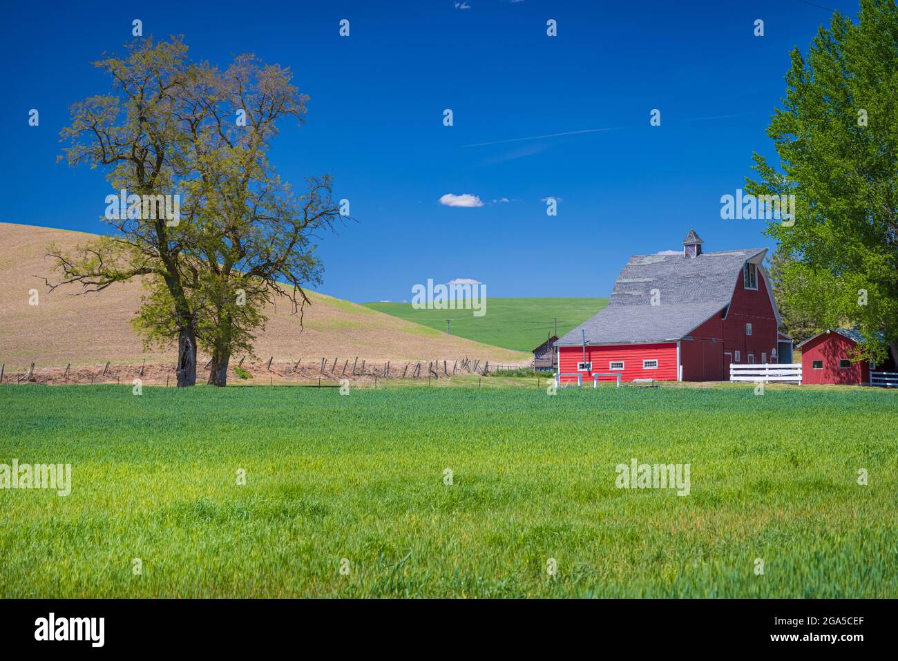 Scheunengebäude im landwirtschaftlichen Palouse-Gebiet im Osten des Staates Washington. Der Palouse ist eine Region im Nordwesten der Vereinigten Staaten, die pa umfasst Stockfoto