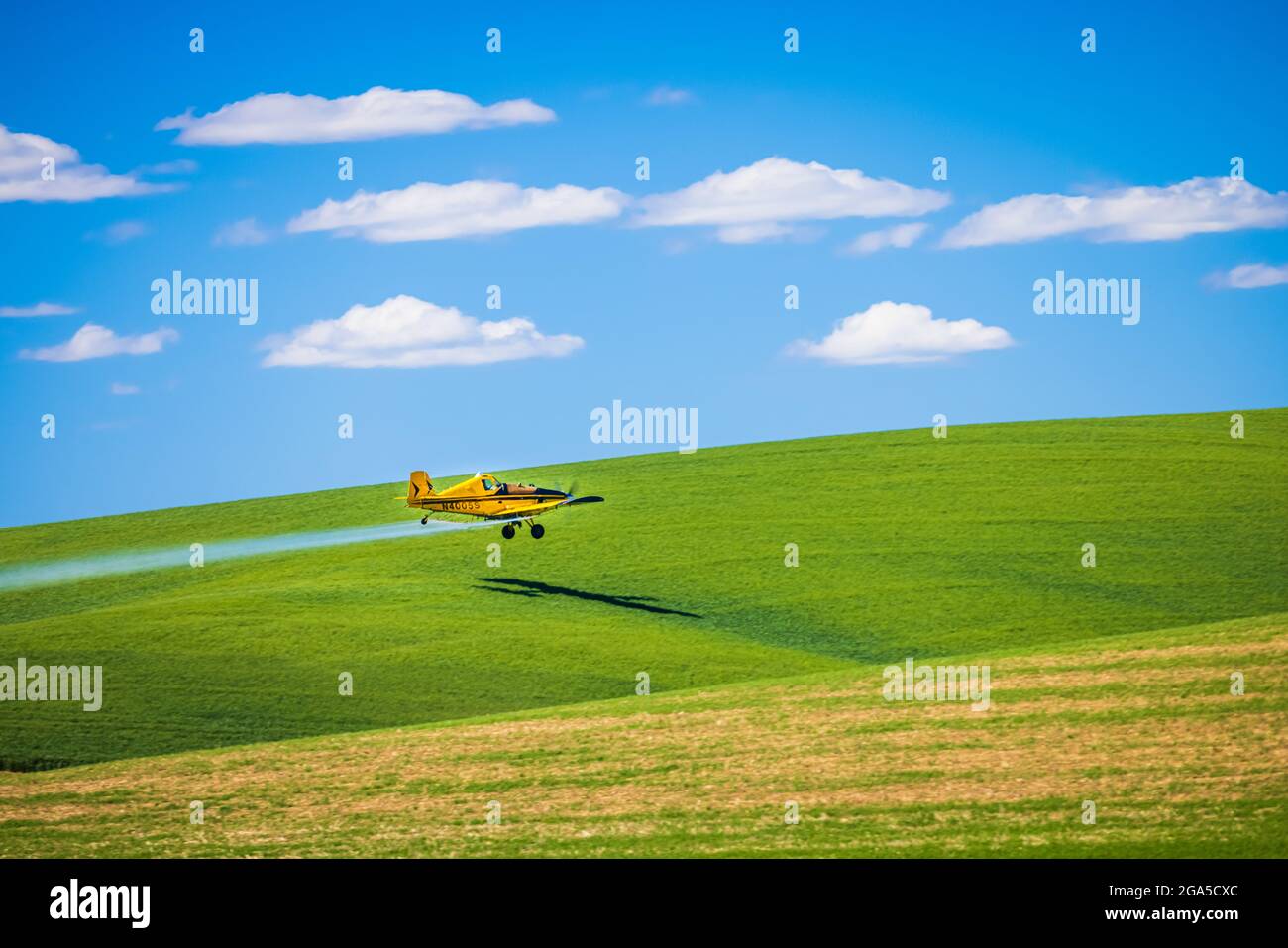 Staubflugzeug über Weizenfeldern im Gebiet Palouse im Osten des Staates Washington Stockfoto