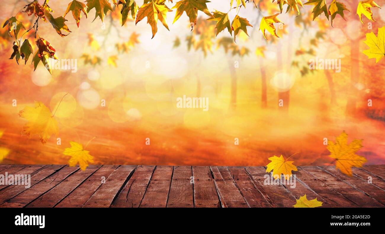 Orangefarbene Herbstblätter und alte Holzbretteppe, natürlicher Hintergrund im Herbst Stockfoto