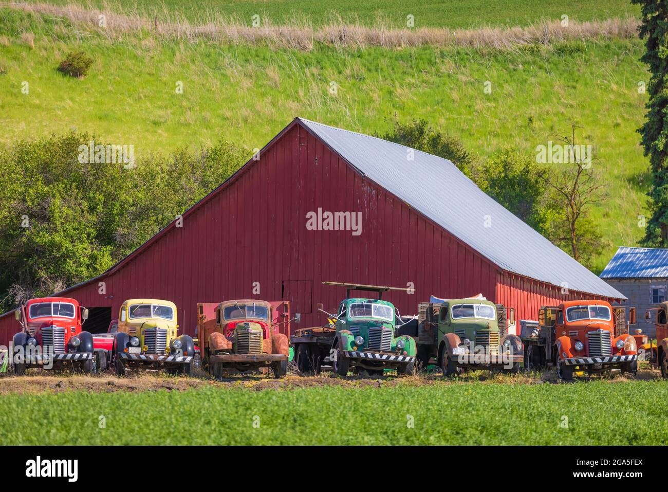Altes Stallgebäude und Lastwagen im landwirtschaftlichen Palouse-Gebiet im Osten des Staates Washington. Der Palouse ist eine Region im Nordwesten der Vereinigten Staaten, Stockfoto