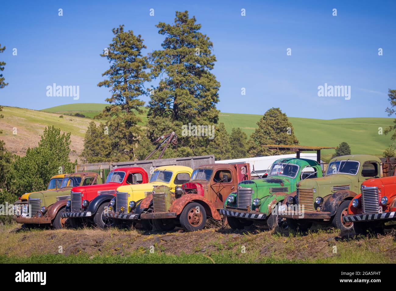 Altes Stallgebäude und Lastwagen im landwirtschaftlichen Palouse-Gebiet im Osten des Staates Washington. Der Palouse ist eine Region im Nordwesten der Vereinigten Staaten, Stockfoto