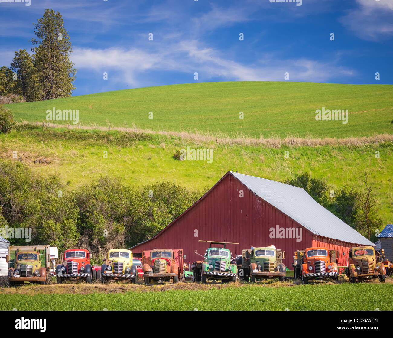 Altes Stallgebäude und Lastwagen im landwirtschaftlichen Palouse-Gebiet im Osten des Staates Washington. Der Palouse ist eine Region im Nordwesten der Vereinigten Staaten, Stockfoto