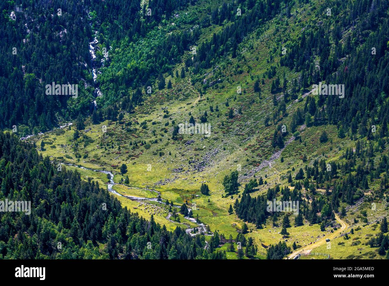 Der Weg des Pica d'Estads-Massivs im Naturpark Alt Pirineu, Katalonien, Spanien, Pyrenäen. Aufstieg zur Pica d'Estads für seine klassischste Route o Stockfoto