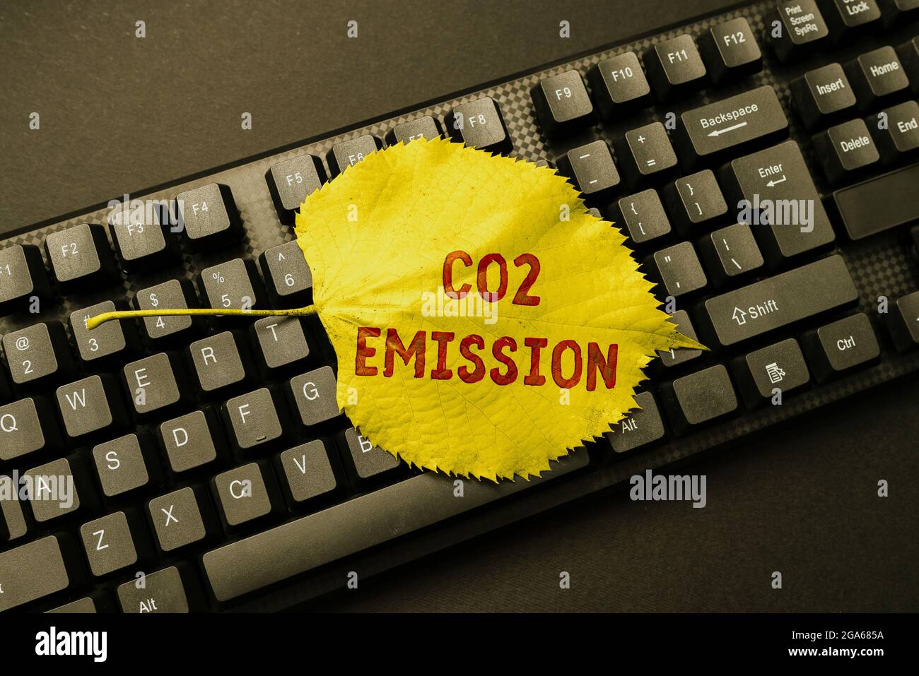 Schreiben mit dem Text CO2 Emission. Internet-Konzept Freisetzung von  Treibhausgasen in die Atmosphäre im Laufe der Zeit Bearbeiten und  Neuschreiben Bericht Stockfotografie - Alamy