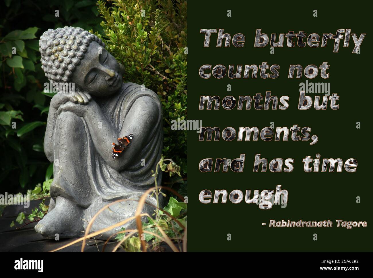 Der Schmetterling zählt nicht Monate, sondern Momente und hat genug Zeit. Tagore. Buddha-Statue im Garten mit einem Schmetterling auf seinem Arm. Stockfoto