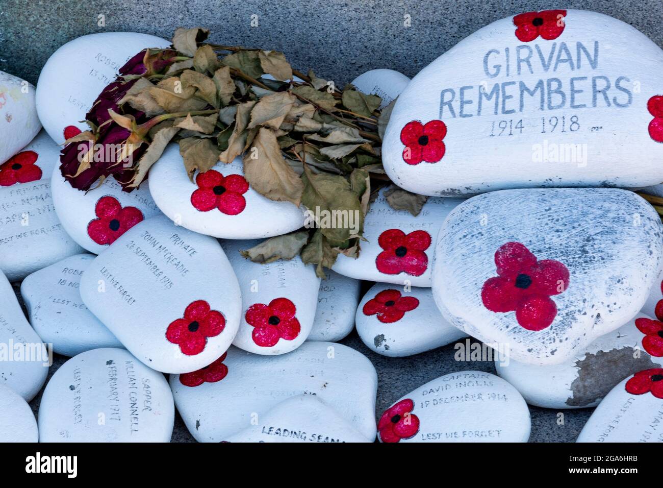 Handgemalte Gedenksteine am girvan-Kriegsdenkmal an der schottischen Küste von ayrshire. poppy Appeal-Gedenkstätte Waffenstillstandstag schottisches Denkmal. Stockfoto
