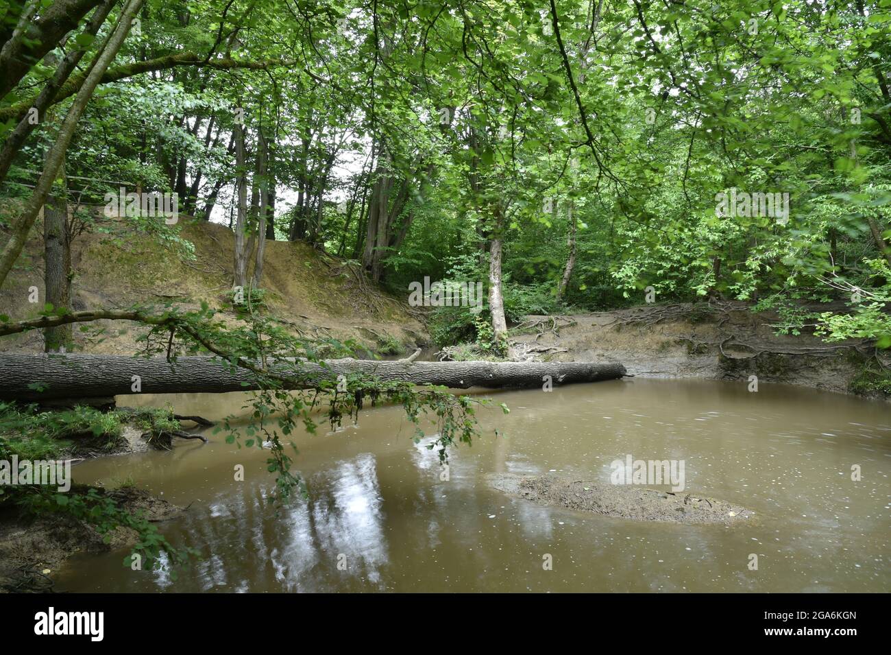 Bedelands Waterfall, Burgess Hill Mid Sussex Stockfoto