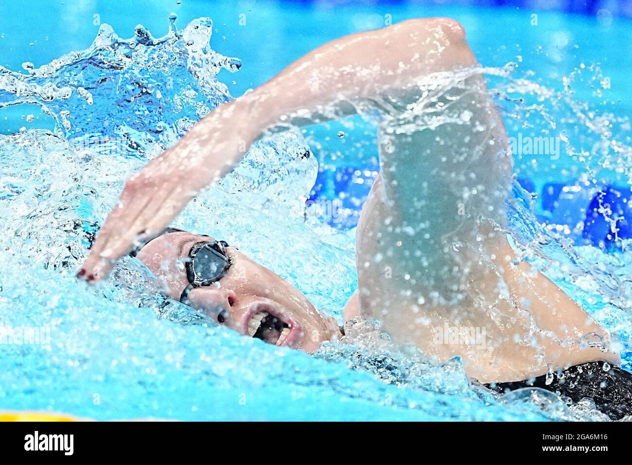 800 m freistil frauen heizt Fotos und Bildmaterial in hoher Auflösung