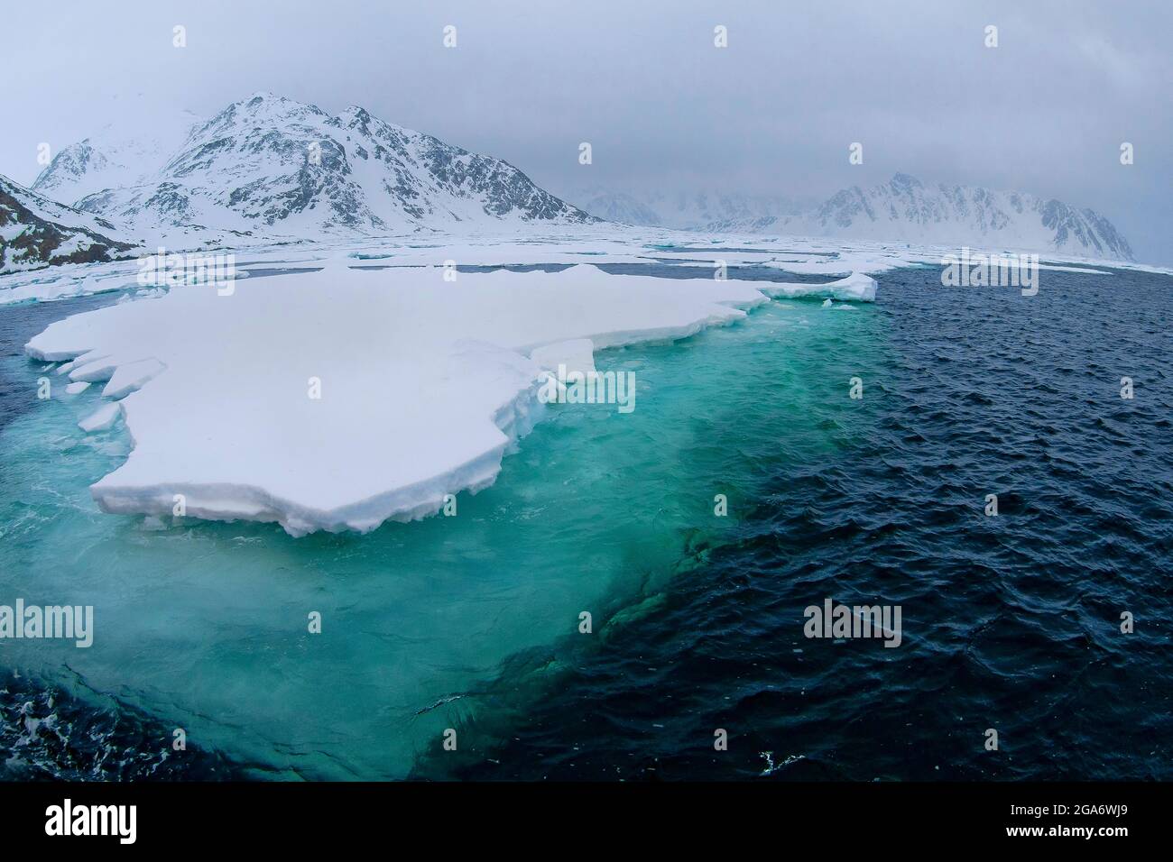 Drift Floating Ice, Albert I Land, Arktis, Spitzbergen, Spitzbergen, Spitzbergen, Norwegen, Europa Stockfoto