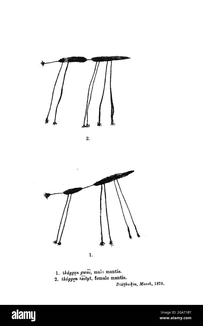 Buschmänner (san) Felsmalerei von Mantis an den Wänden von Höhlen aus dem Buch gemalt ' Exemplare der Buschmänner Folklore ' von Bleek, W. H. I. (Wilhelm Heinrich Immanuel), Lloyd, Lucy Catherine, Theal, George McCall, 1837-1919 Veröffentlicht in London von G. Allen & Company, ltd. Im Jahr 1911. Die San-Völker (auch Saan) oder Buschmänner sind Mitglieder verschiedener Khoe-, Tuu- oder Kxʼa-sprechender indigener Jäger- und Sammlergruppen, die die ersten Nationen des südlichen Afrikas sind und deren Territorien Botswana, Namibia, Angola, Sambia, Simbabwe, Lesotho und Südafrika. Stockfoto