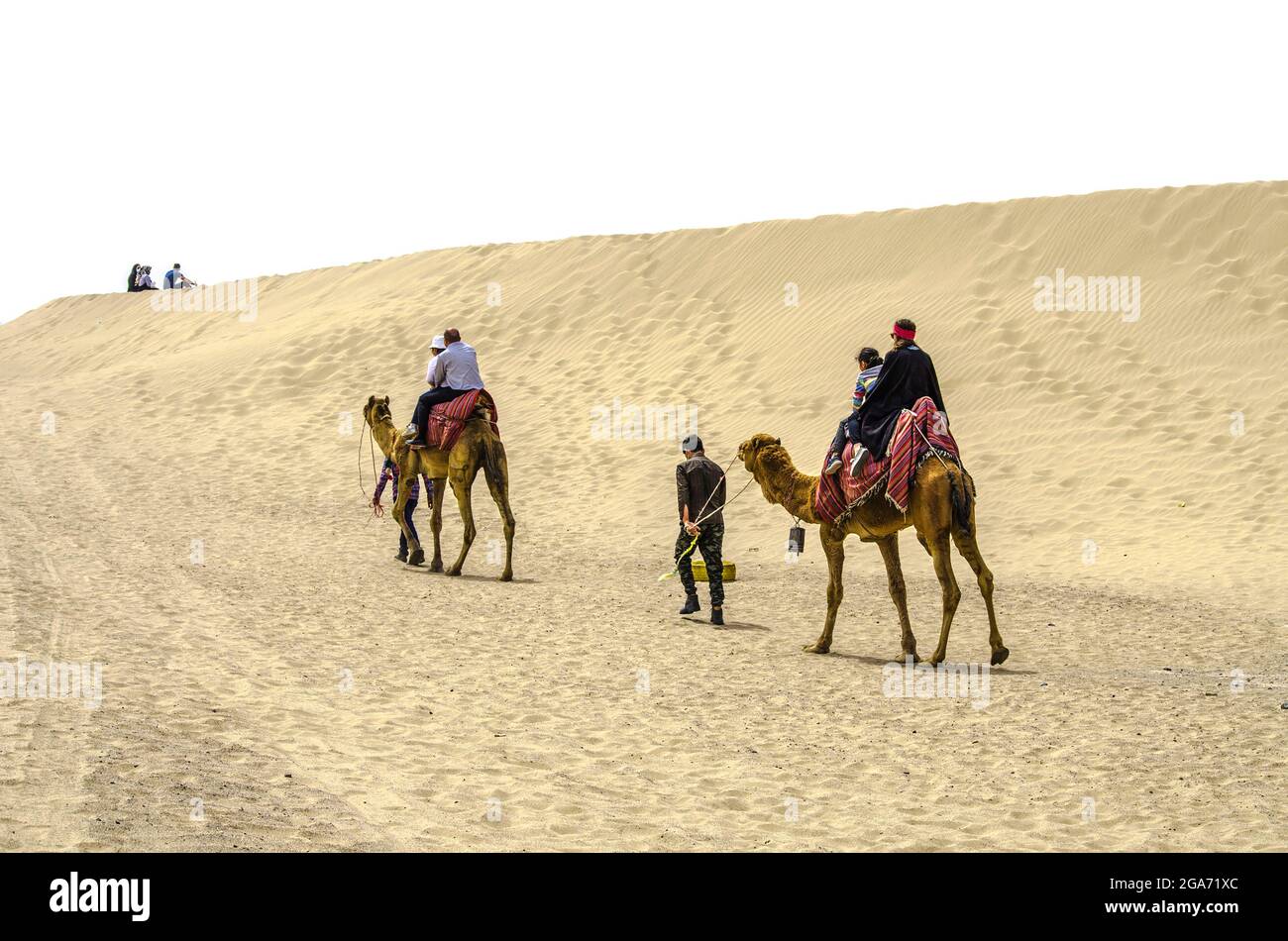 Yazd, Wüste, Iran, 20. Februar 2021: Die Führer mit zwei Kamelen bedeckt mit hellen Teppichen, auf einem sind ein Mann und ein Kind, auf dem anderen eine Frau und ein c Stockfoto