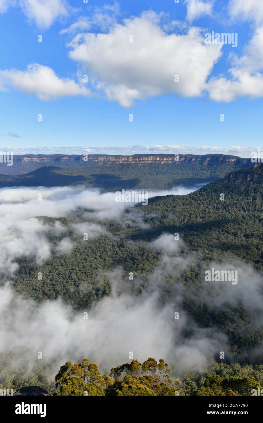 Nebel in den Blue Mountains Stockfoto