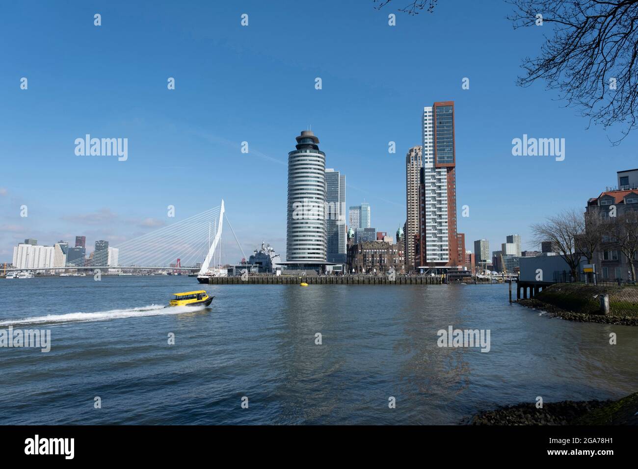 Rotterdam, Niederlande. Skyline von Rotterdam mit Erasmus-Brücke und Kop van Zuid Stockfoto