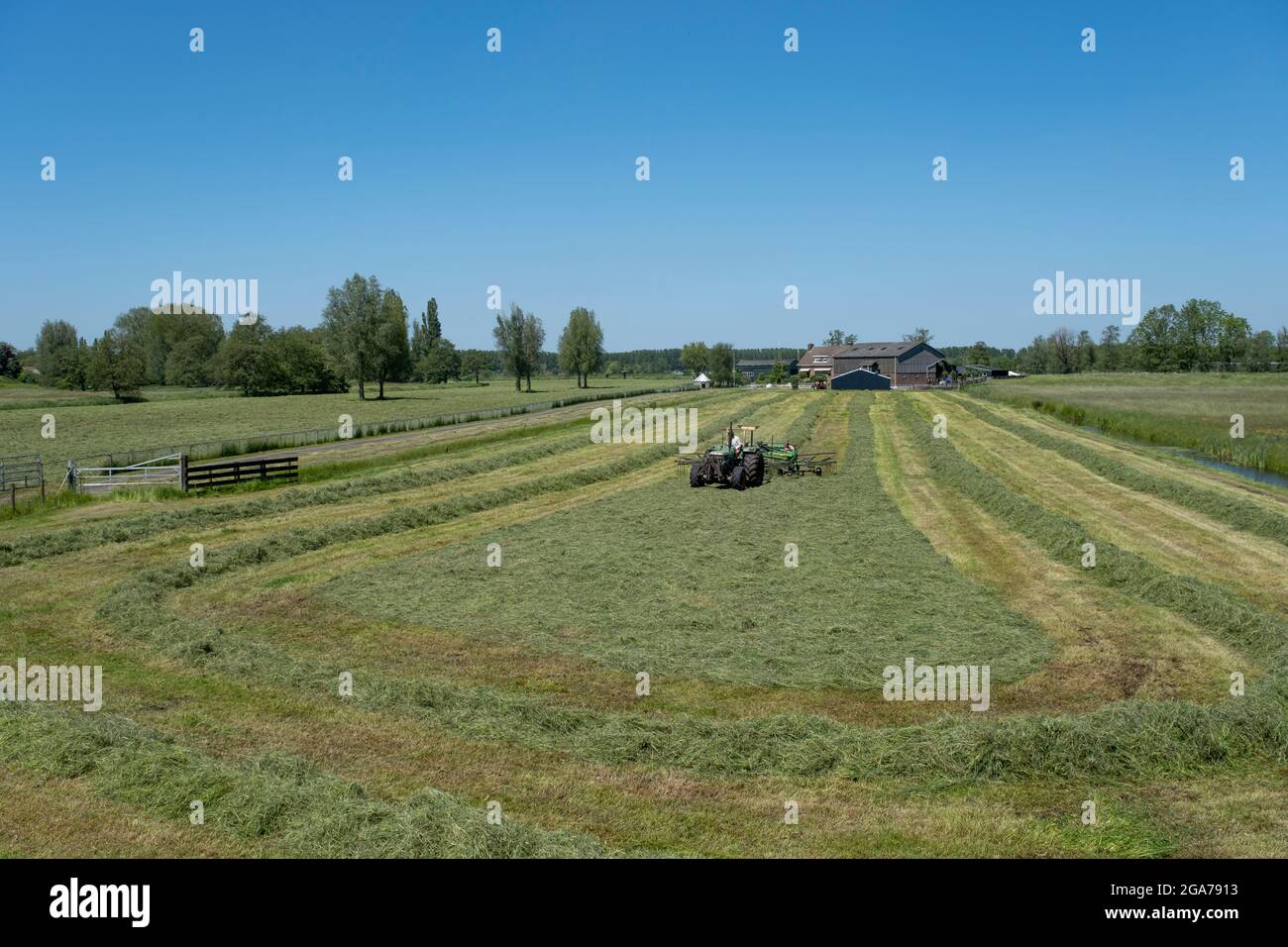 Traktor auf einer Wiese mit Sommerblumen, die Gras unter blauem Himmel in den niederlanden in der niederländischen Provinz utrecht mähen Stockfoto