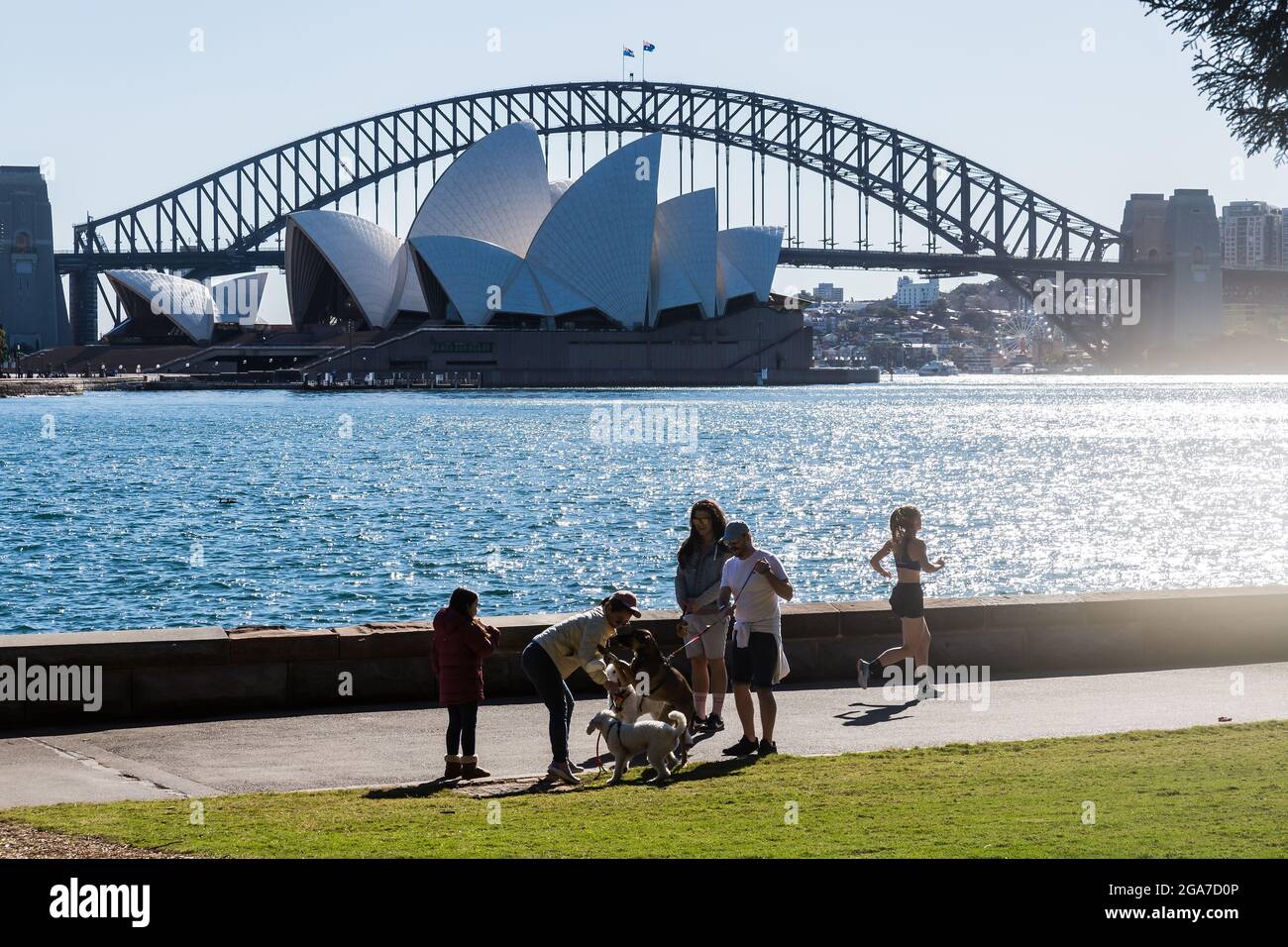 Sydney, Australien. Donnerstag, 29. Juli 2021. Menschen, die im Royal Botanic Garden trainieren. Die Sperrbeschränkungen für den Großraum Sydney wurden aufgrund der Ausbreitung der Delta-Variante um vier Wochen bis zum 28. August verlängert. Quelle: Paul Lovelace/Alamy Live News Stockfoto