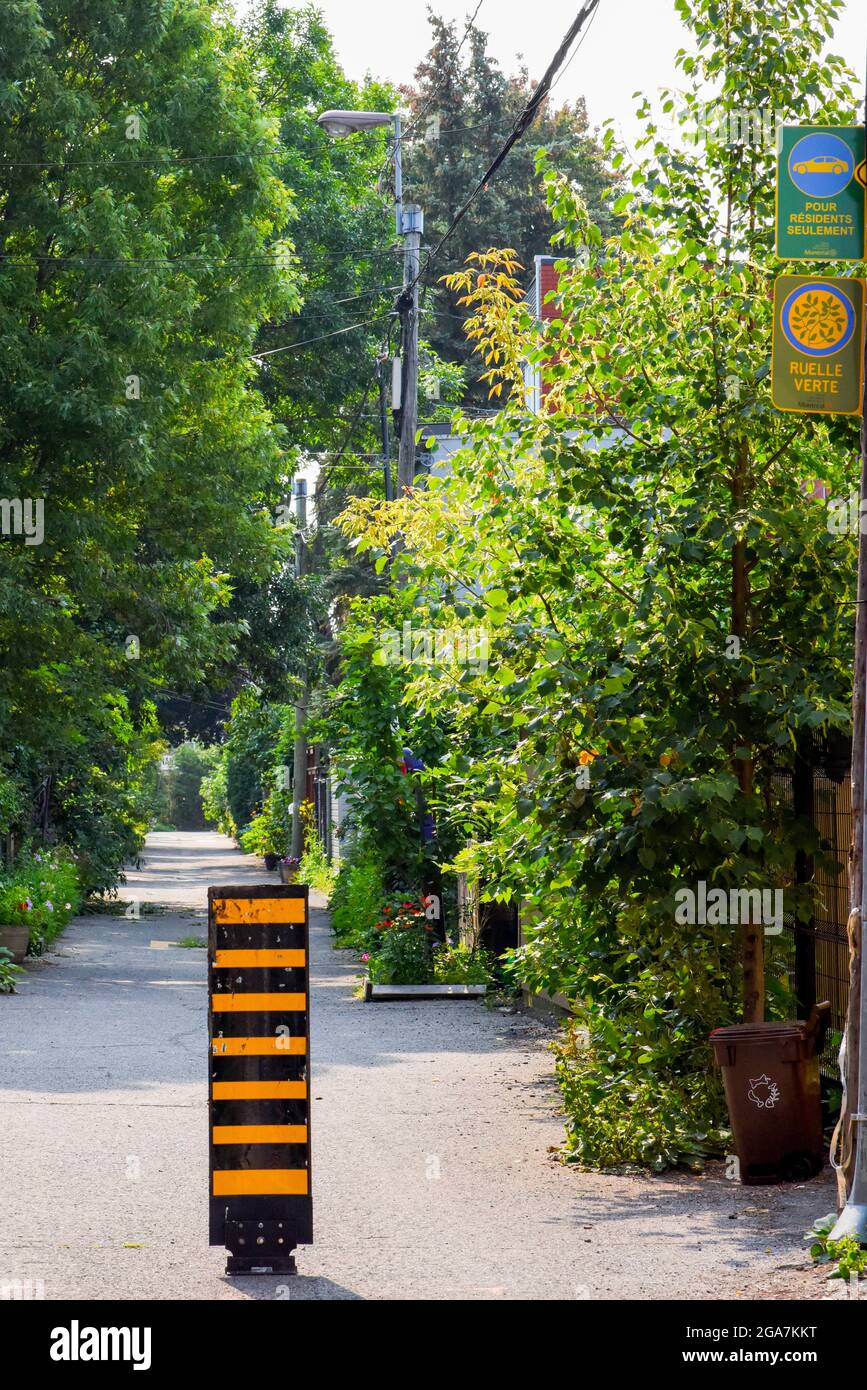 Grüne Gasse im Villeray-Viertel von Montreal, Kanada. Die grünen Gassen sind kollektive Verschönerungsprojekte, die zwischen Nachbarn durchgeführt werden, mit Unterstützung der Stadtbezirke, um die Qualität der Wohnumgebung zu verbessern, den städtischen Raum zurückzugewinnen und Verbindungen mit der Nachbarschaft zu knüpfen, Um den Autoverkehr zu beruhigen und das Gehen sicherer zu machen und zur Verringerung der Wärmeeinseln und der globalen Erwärmung beizutragen Stockfoto