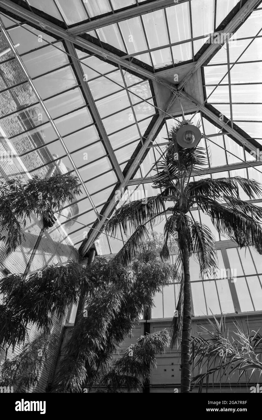 Blick auf das Dach des Wintergartens, Buxton Pavilion Gardens, Derbyshire, England. Stockfoto