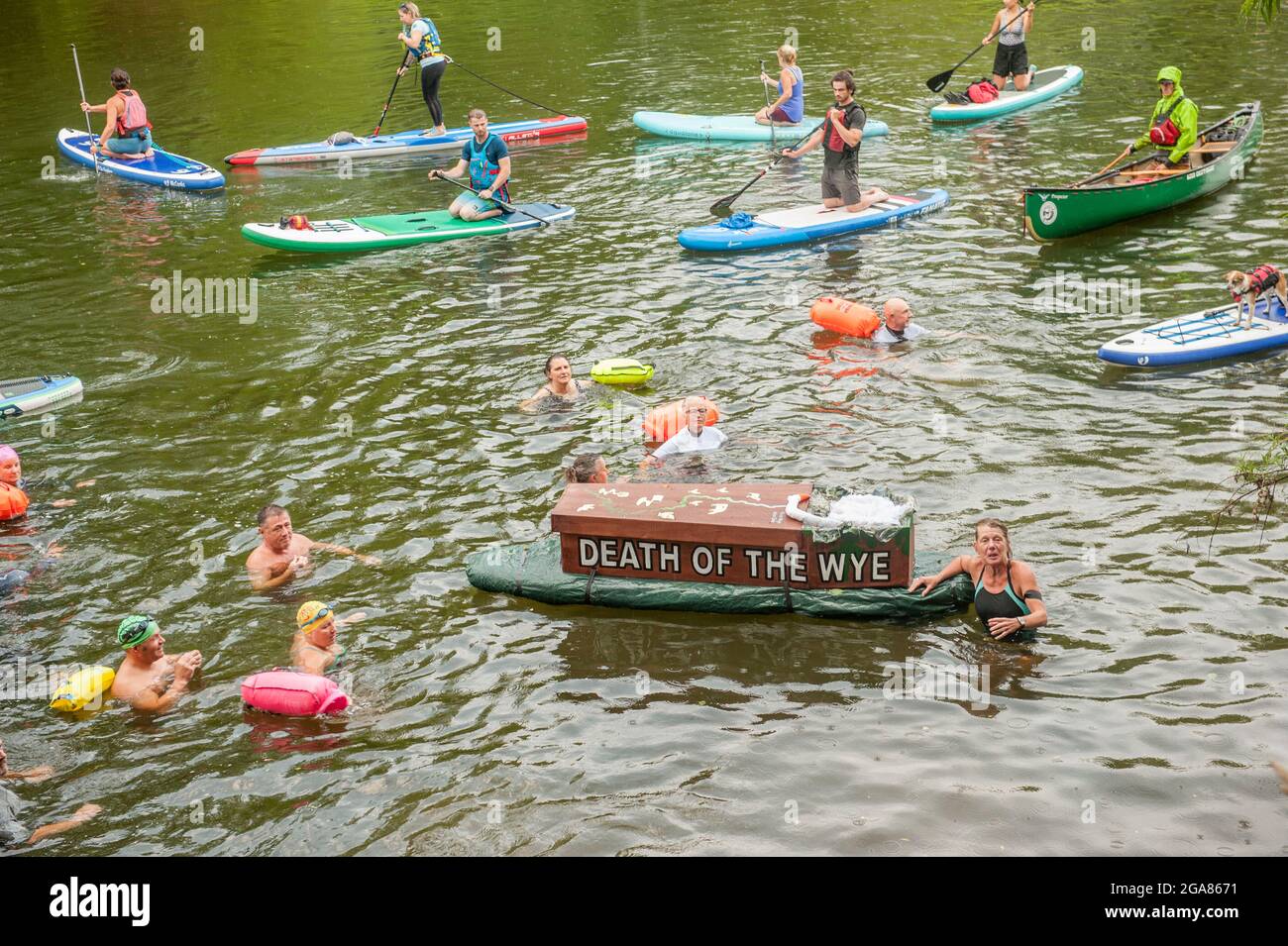 Die Spezialistin für Wildschwimmen und Autorin Angela Jones alias „The Wild Woman of the Wye“ führt ein 1-km-Bad im Monmouth-Abschnitt des Wye-Flusses, um auf den katastrophalen ökologischen Zustand des Flusses Wye und seine anhaltende Verschlechterung aufmerksam zu machen. Ein Nachbau-Sarg auf einem Paddelbrett wurde in den Fluss gesenkt und von Angela geschleppt, um den Tod des Wye darzustellen. Ihr Schwimmen ist Teil der #SaveTheWye, einer Dachkampagne zur Unterstützung und zum Aufbau eines Netzwerks von Organisationen und Einzelpersonen, die sich für den Schutz und die Wiederherstellung der Gesundheit des Flusses Wye und seiner Nebenflüsse einsetzen, sowohl für die Tierwelt als auch für die Menschen Stockfoto