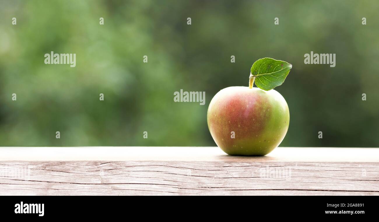 Bio-Wildapfel auf Holzplanke mit verschwommenem Hintergrund Stockfoto