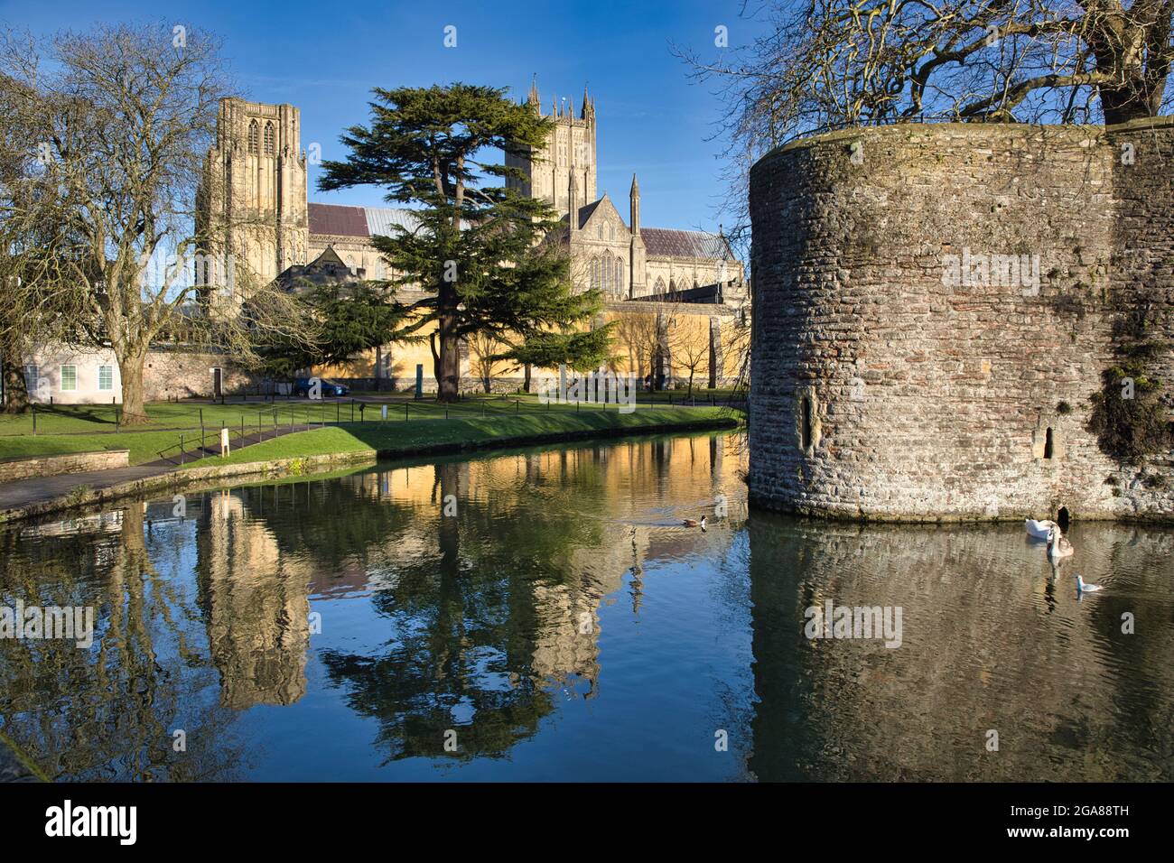 Eine Ecke auf der rechten Seite, des Bischofspalastes und des Grabens, mit Kulisse der Kathedrale von Wells und Bäumen, in Wells, Somerset, England, Großbritannien Stockfoto