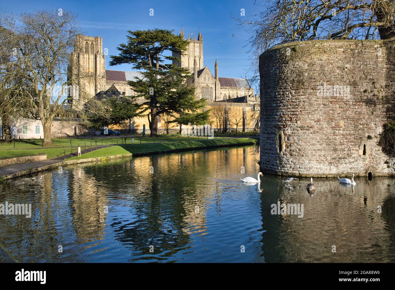 Eine Ecke auf der rechten Seite, des Bischofspalastes und des Grabens, mit Kulisse der Kathedrale von Wells und Bäumen, in Wells, Somerset, England, Großbritannien Stockfoto