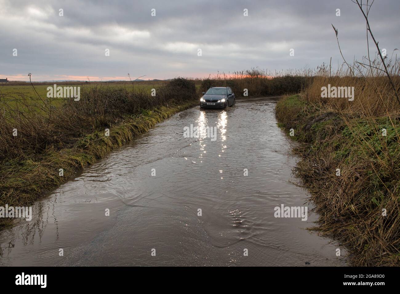 Eine überflutete Straße auf dem Land bei Braunton in North Devon, England, Großbritannien, mit einem Auto, das gerade durchfahren wird Stockfoto