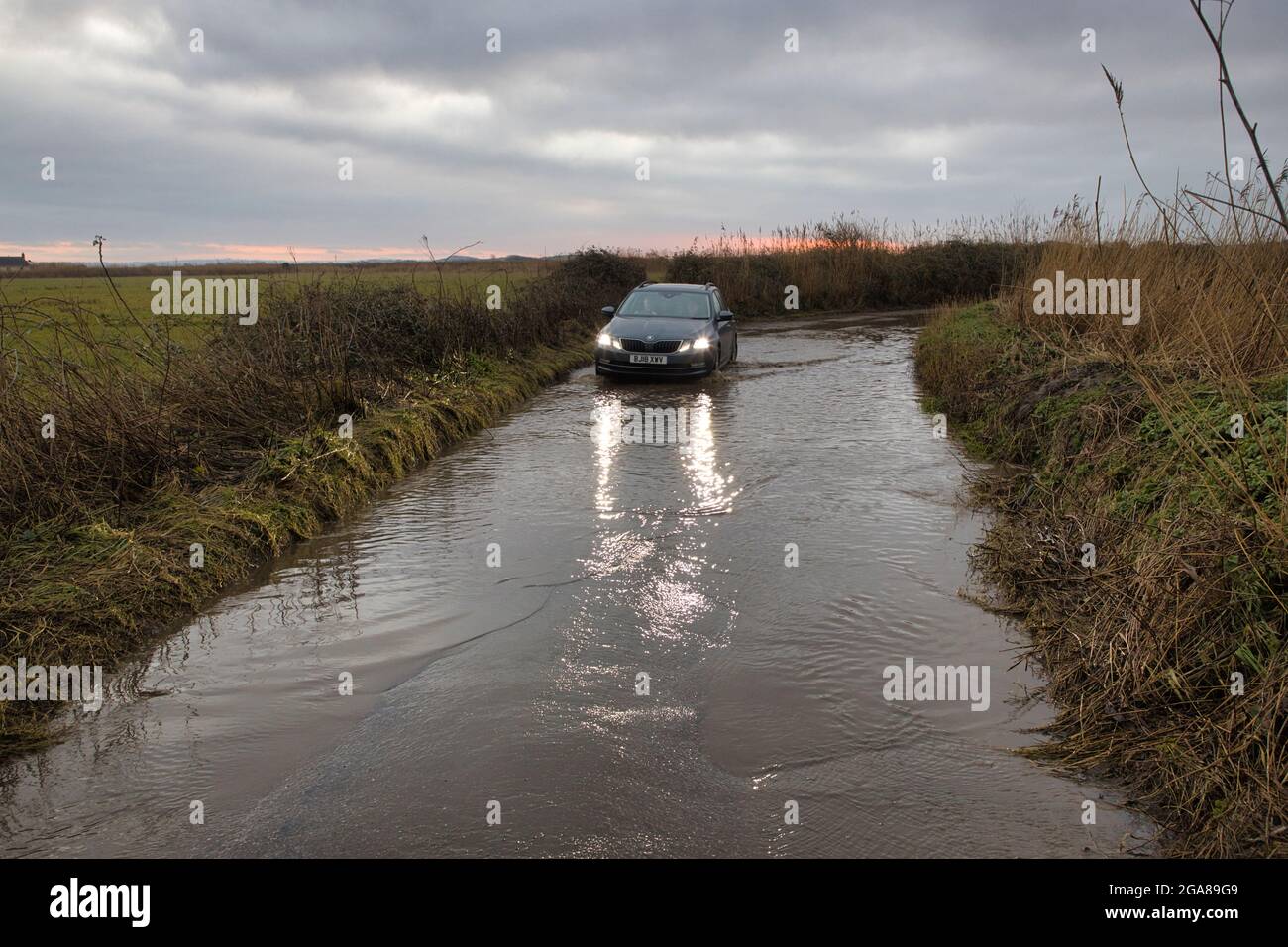 Eine überflutete Straße auf dem Land bei Braunton in North Devon, England, Großbritannien, mit einem Auto, das gerade durchfahren wird Stockfoto