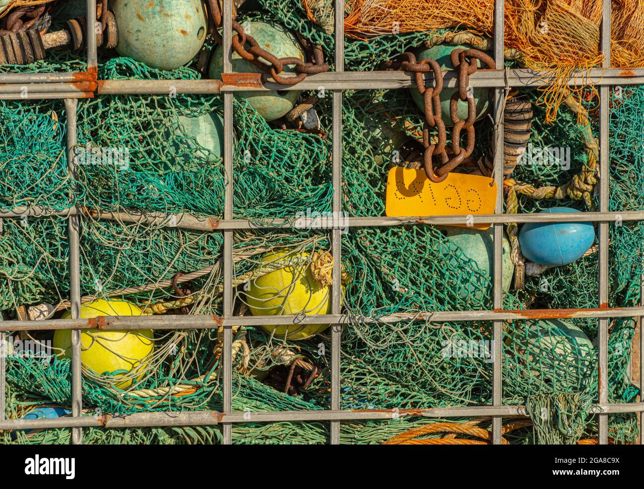 Fischfangwal in einem Container gelagert. Stockfoto