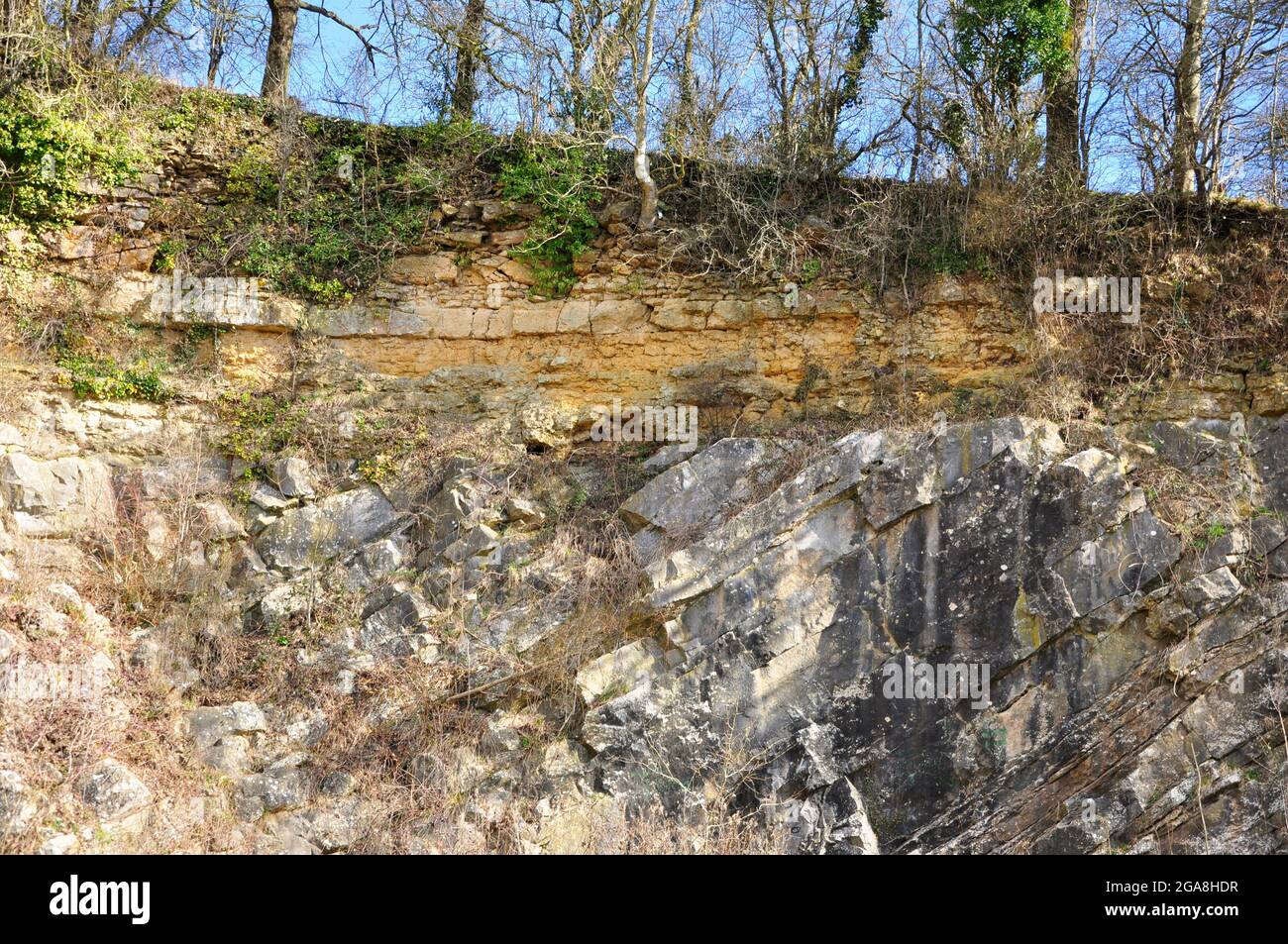 De la Beche geologische unconformity Gelb unterlegen Oolite Kalkstein ruht auf einem steil eintauchenden grau Karbon Kalkstein. Somerset UK Stockfoto