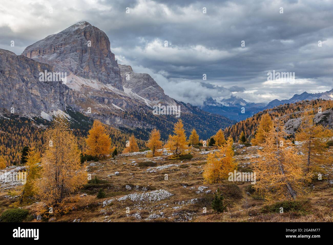 Schöne Herbstansicht Tofana di Rozes Berg mit gelben Lärchen im Vordergrund. Dolomiten in der Nähe des Falzarego Passes, Italien. Stockfoto