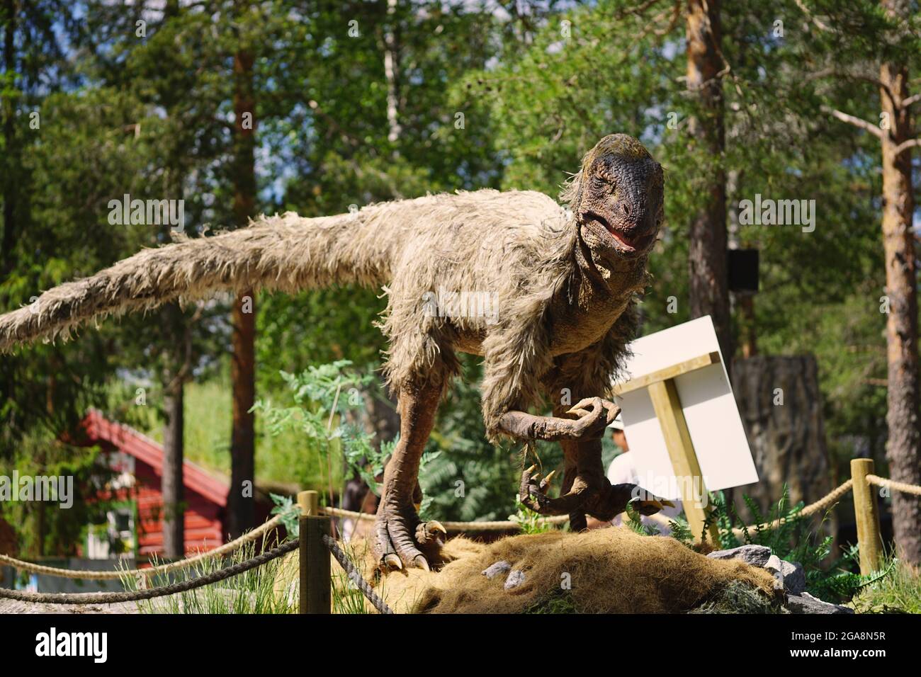 Deinonychus antirropus Dinosaurier animatronic Modell Stockfoto
