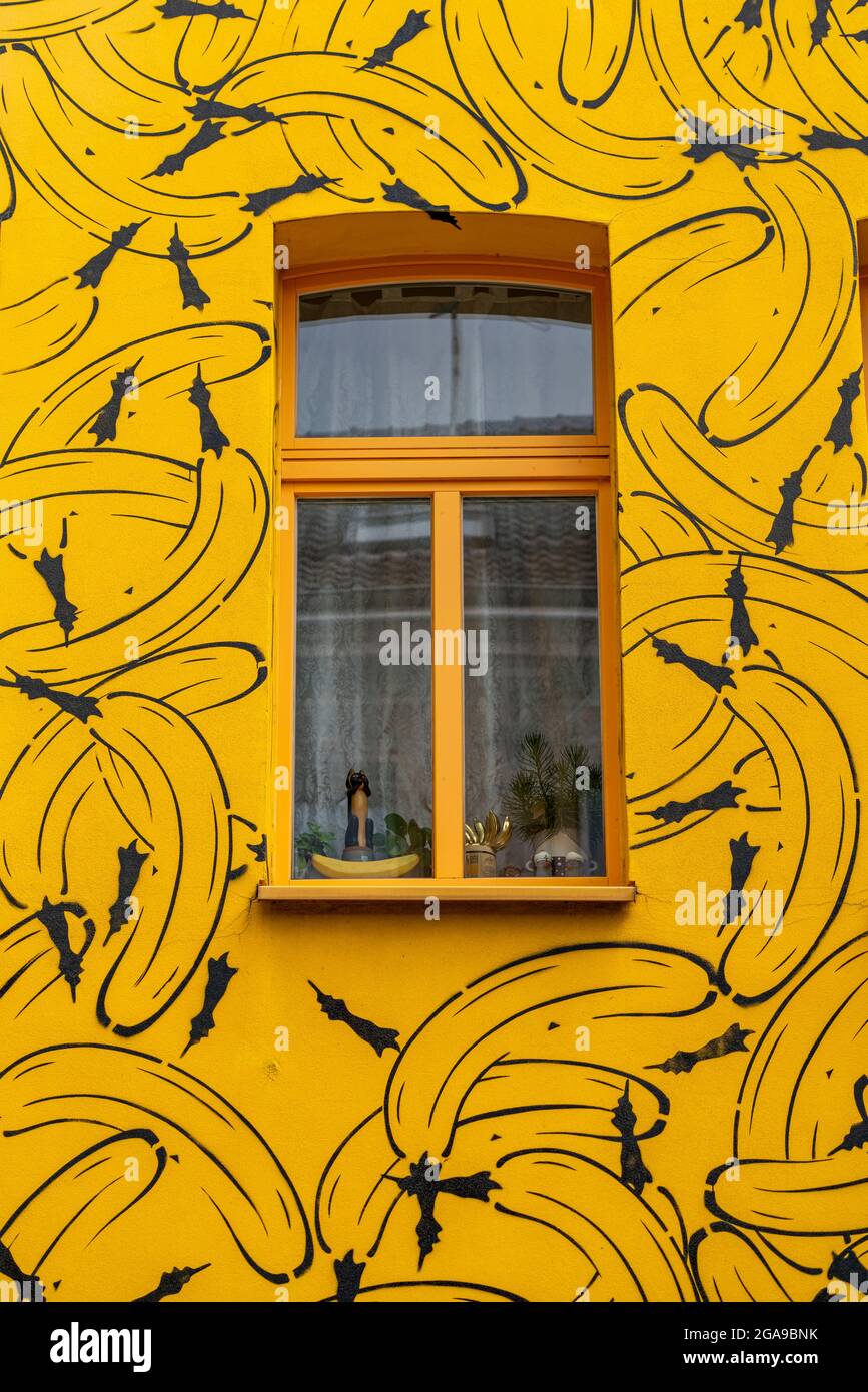 Das Bananenhaus, entworfen vom Bananenkünstler Thomas Baumgärtel, Karlstraße, Hafenviertel Duisburg-Ruhrort, NRW, Deutschland, Stockfoto