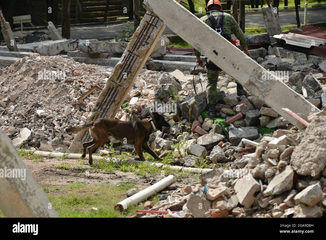 Mexiko-Stadt, Mexiko. Juli 2021. Mexiko-Stadt, Mexiko, 29. Juli 2021: Ein Militär trainiert einen Hund im Rahmen des "Search and Rescue"-Hundetrainings im Hundeausbildungszentrum der mexikanischen Armee, das nach dem Erdbeben von 1985 in Mexiko eingeführt wurde, hat die mexikanische Armee dieses Programm gefördert, um im Falle einer Naturkatastrophe Leben zu retten. Kredit: Carlos Tischler/Eyepix Gruppe/Alamy Live Nachrichten Gutschrift: Eyepix Gruppe/Alamy Live Nachrichten Stockfoto