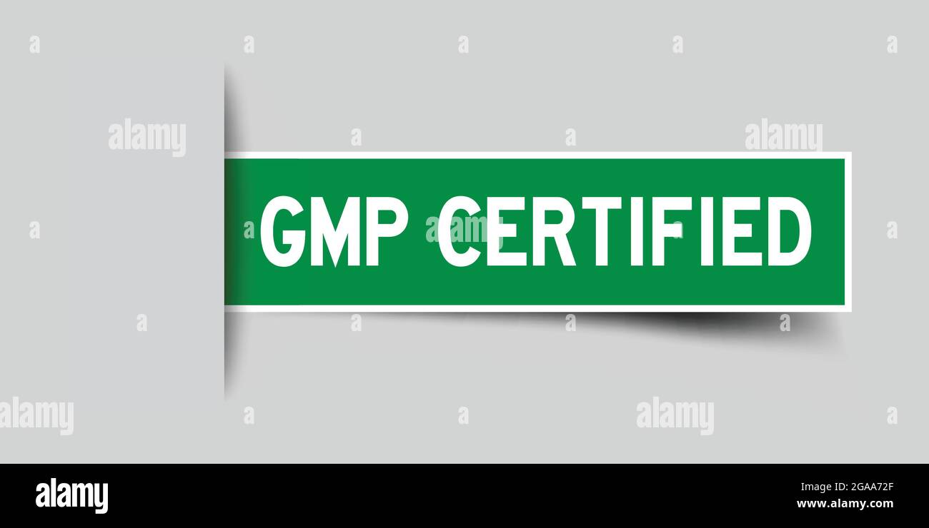 Etikett quadratischen grünen Aufkleber in Wort GMP (gute Herstellungspraxis) zertifiziert, die unter grauem Hintergrund einfügen (Vektor) Stock Vektor