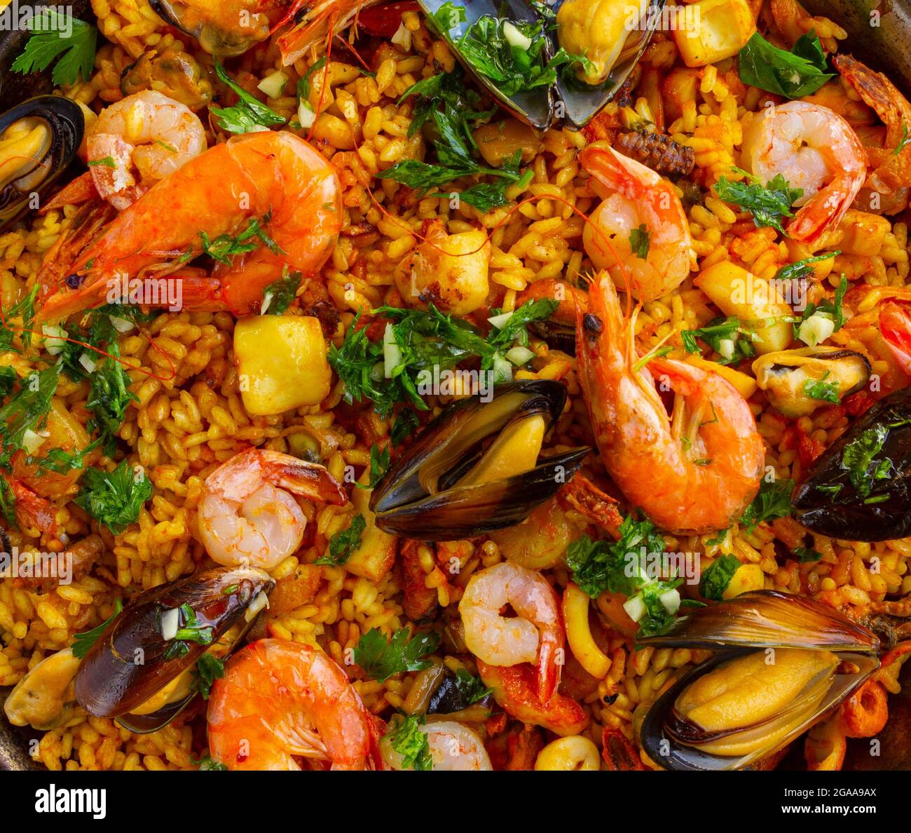 Nahaufnahme der paella mit spanischen Meeresfrüchten Stockfoto