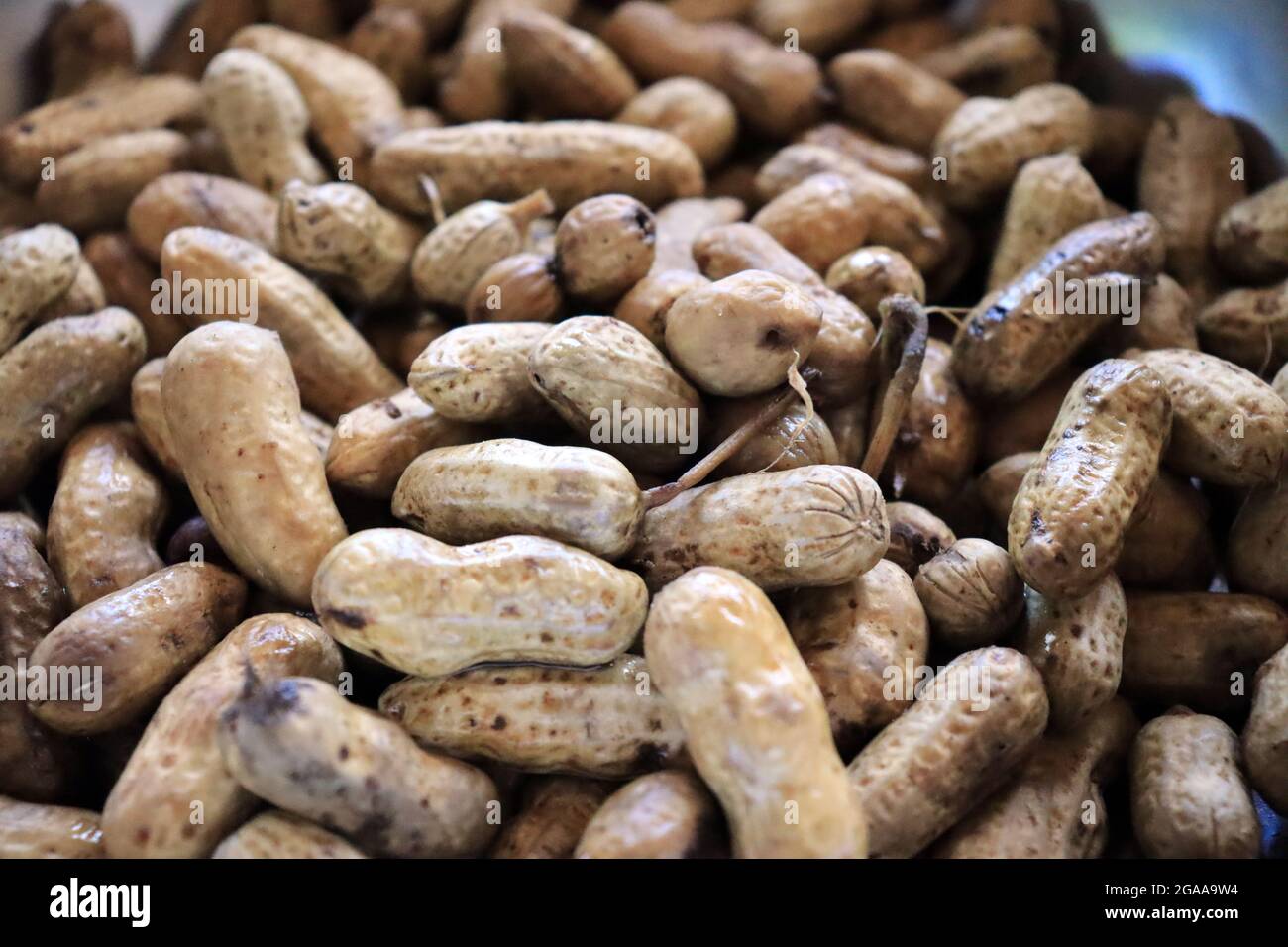 Ein Glas voller Cashewkerne Stockfoto