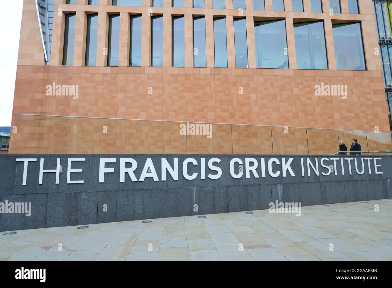 Das Francis Crick Institute im Londoner Stadtteil St. Pancras ist ein biomedizinisches Forschungszentrum, das sich mit dem Verständnis von Krankheiten und der Entwicklung neuer Therapien beschäftigt. Stockfoto