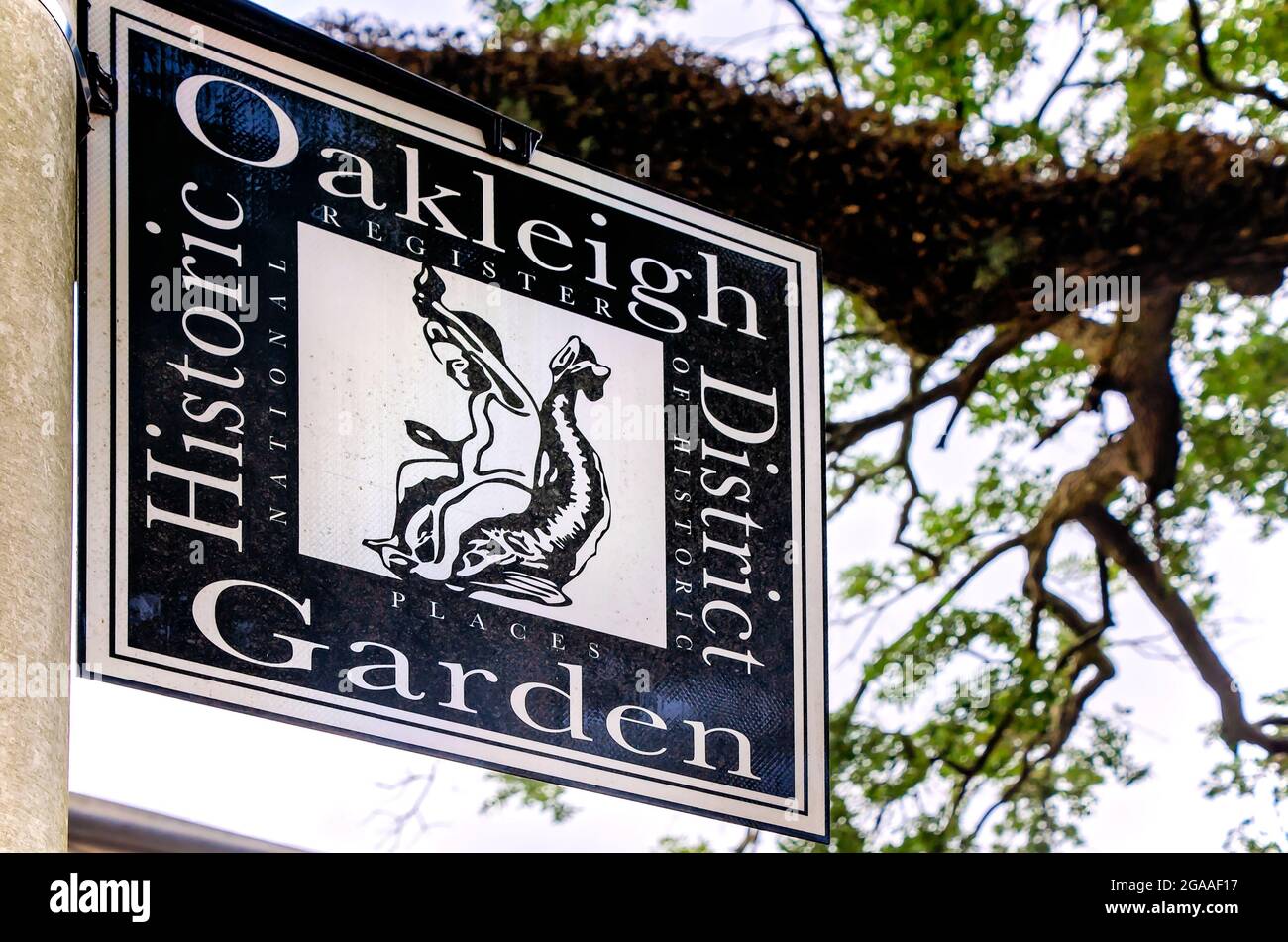 Das historische Oakleigh Garden District ist am 28. Juli 2021 in Mobile, Alabama, abgebildet. Stockfoto