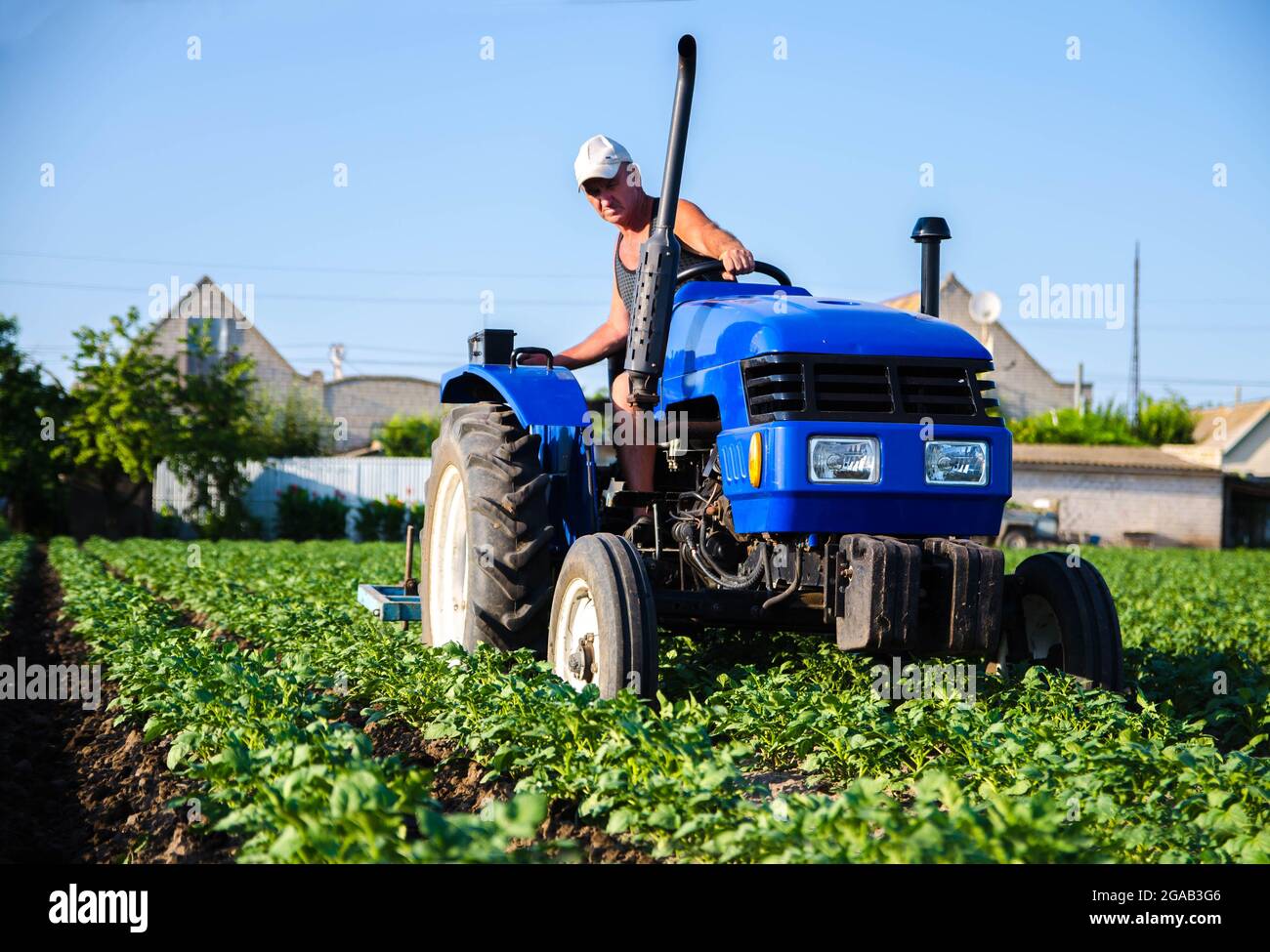 Ein Landwirt auf einem Traktor arbeitet auf dem Feld. Agroindustrie und Agrarindustrie. Kultivierung im Feld. Landmaschinen. Pflanzenpflege, Verbesserung der Bodenqualität. Stockfoto