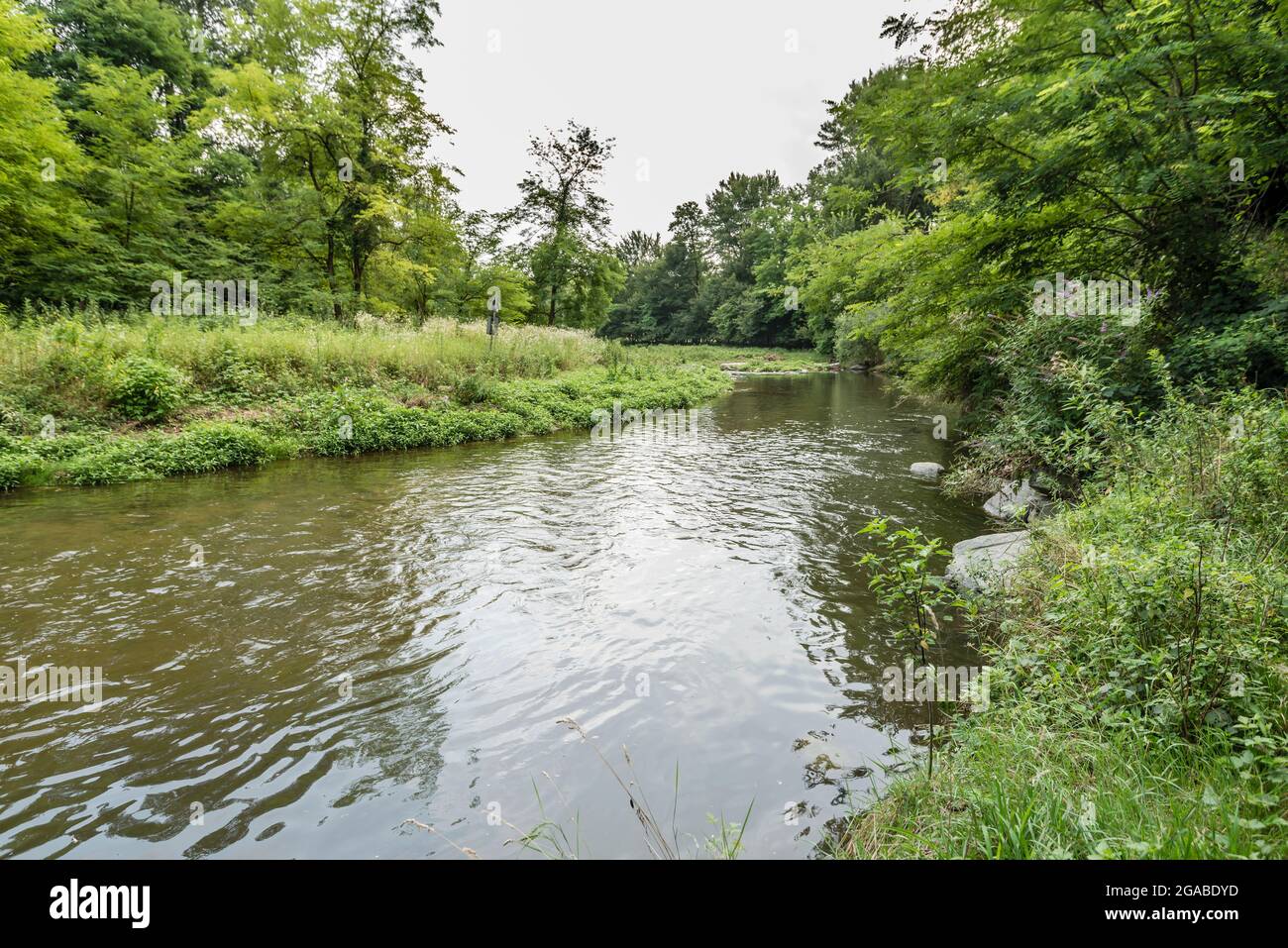Landschaft mit dem Fluss Olona in der grünen Tallandschaft, in der Nähe von Gornate Olona, Italien Stockfoto