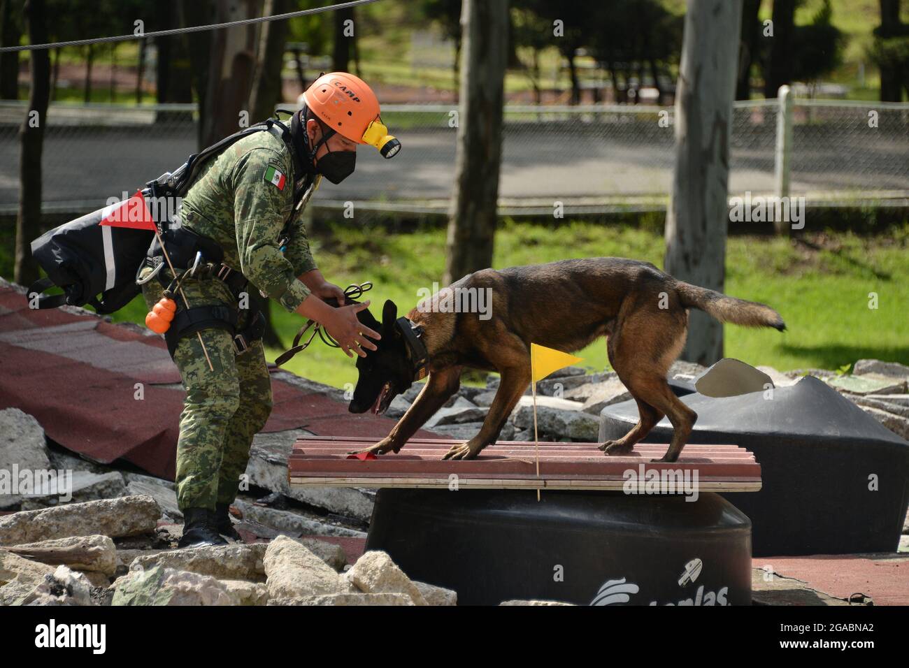 Nicht exklusiv: MEXIKO-STADT, MEXIKO - 29. JULI: Ein Militär trainiert einen Hund im Rahmen des "Search and Rescue" Hundetrainings bei der Hundeausbildung c Stockfoto