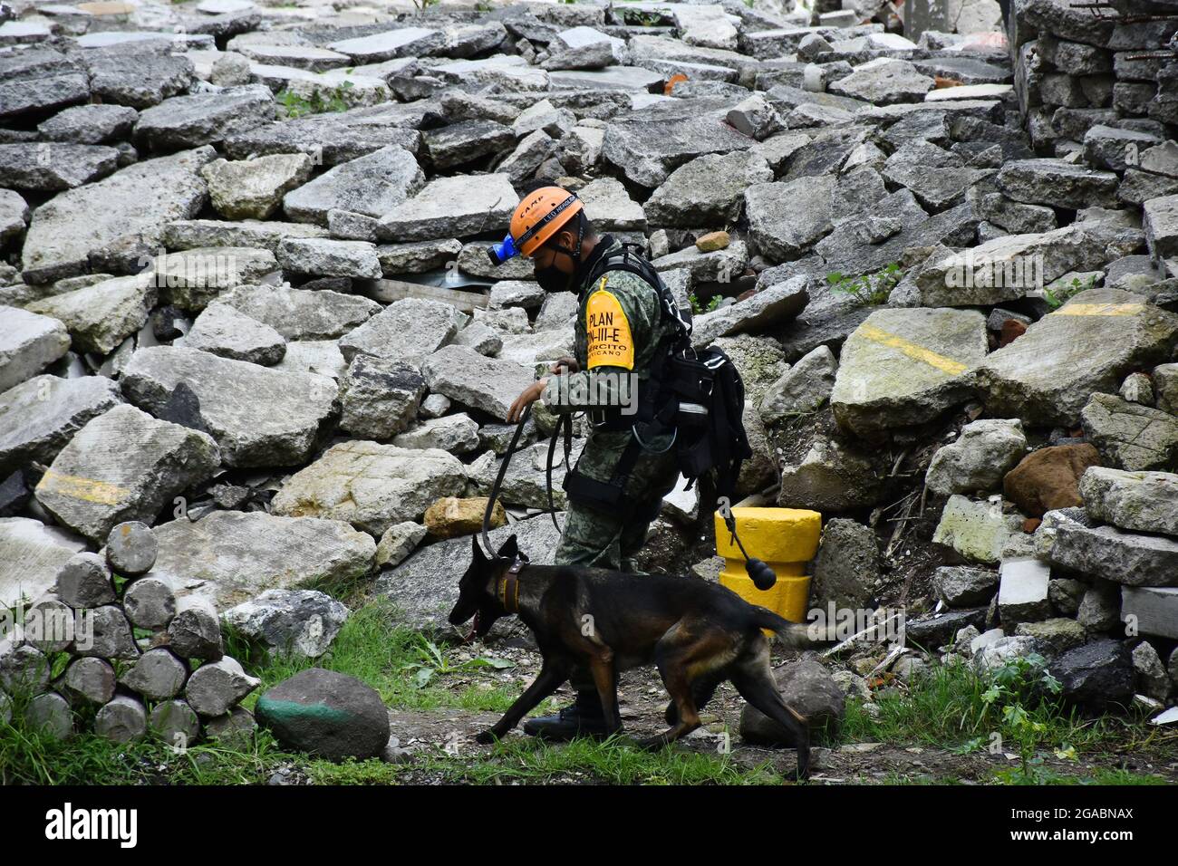 Nicht exklusiv: MEXIKO-STADT, MEXIKO - 29. JULI: Ein Militär trainiert einen Hund im Rahmen des "Search and Rescue" Hundetrainings bei der Hundeausbildung c Stockfoto