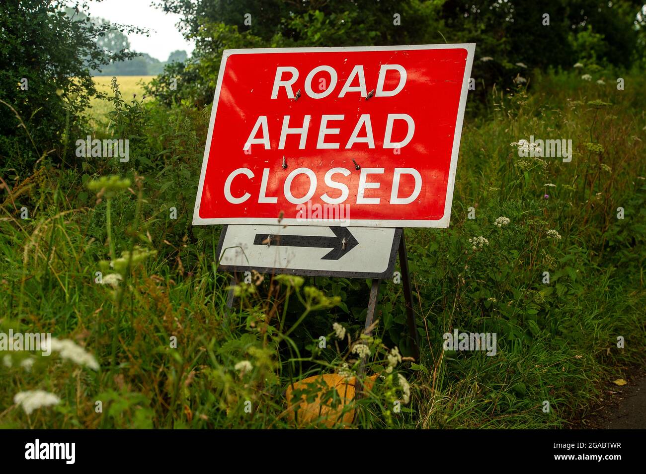 Great Missenden, Buckinghamshire, Großbritannien. Juli 2021. Ein Straßenschild an der Leather Lane. HS2 Ltd hat während der Vogelnistsaison entlang der Leather Lane, einem alten holloway in Great Missenden, eine Reihe von Eichen gefällt. Einheimische und Umweltschützer sind wütend über die Zerstörung, die HS2 in der Gegend für den Bau der Hochgeschwindigkeitsstrecke von London nach Birmingham verursacht, was für die Menschen in den Chilterns von null Nutzen sein wird. Quelle: Maureen McLean/Alamy Stockfoto