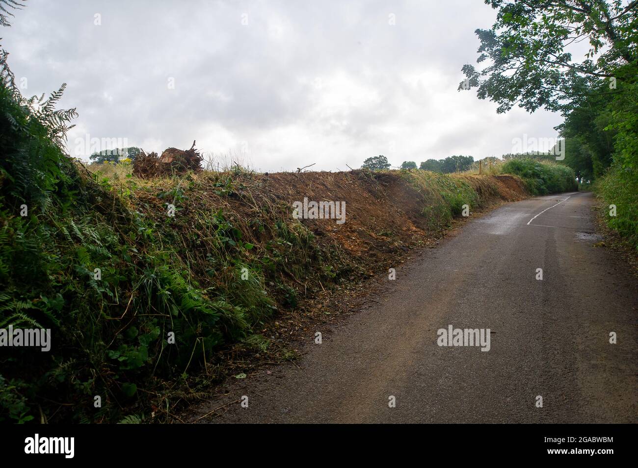 Great Missenden, Buckinghamshire, Großbritannien. Juli 2021. HS2 Ltd hat Hecken entlang der Leather Lane, einem alten holloway in Great Missenden, zerstört. Einheimische und Umweltschützer sind wütend über die Zerstörung, die HS2 in der Gegend für den Bau der Hochgeschwindigkeitsstrecke von London nach Birmingham verursacht, was für die Menschen in den Chilterns von null Nutzen sein wird. Quelle: Maureen McLean/Alamy Stockfoto