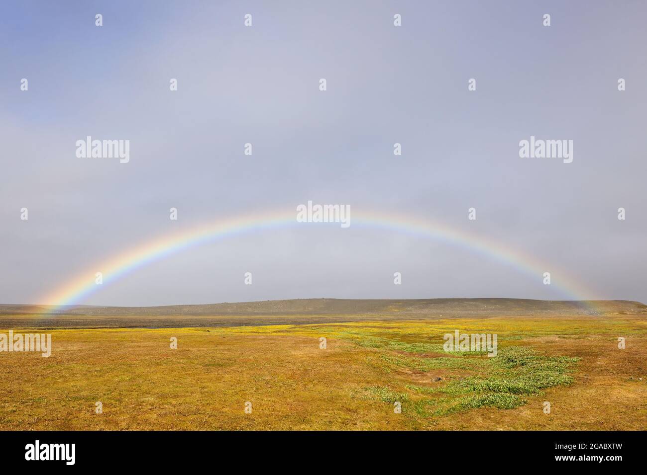 Regenbogen über flachem Grasland im Landesinneren von Island. Stockfoto