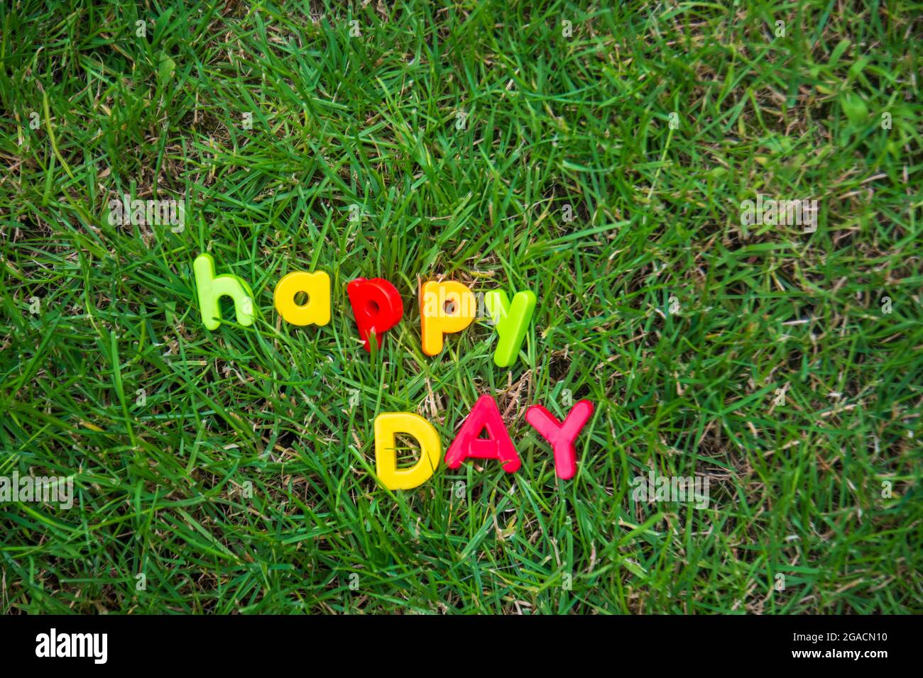 Happy Day Schriftzug geschrieben mit Spielzeugbuchstaben auf dem Gras im Garten des Hauses Stockfoto