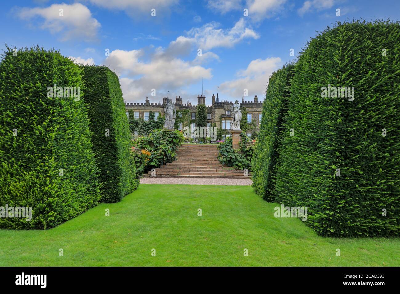 Eine Eibe Hecke vor Renishaw Hall & Gardens, Renishaw Park, Landhaus in Renishaw, Chesterfield, Derbyshire, England, Großbritannien Stockfoto