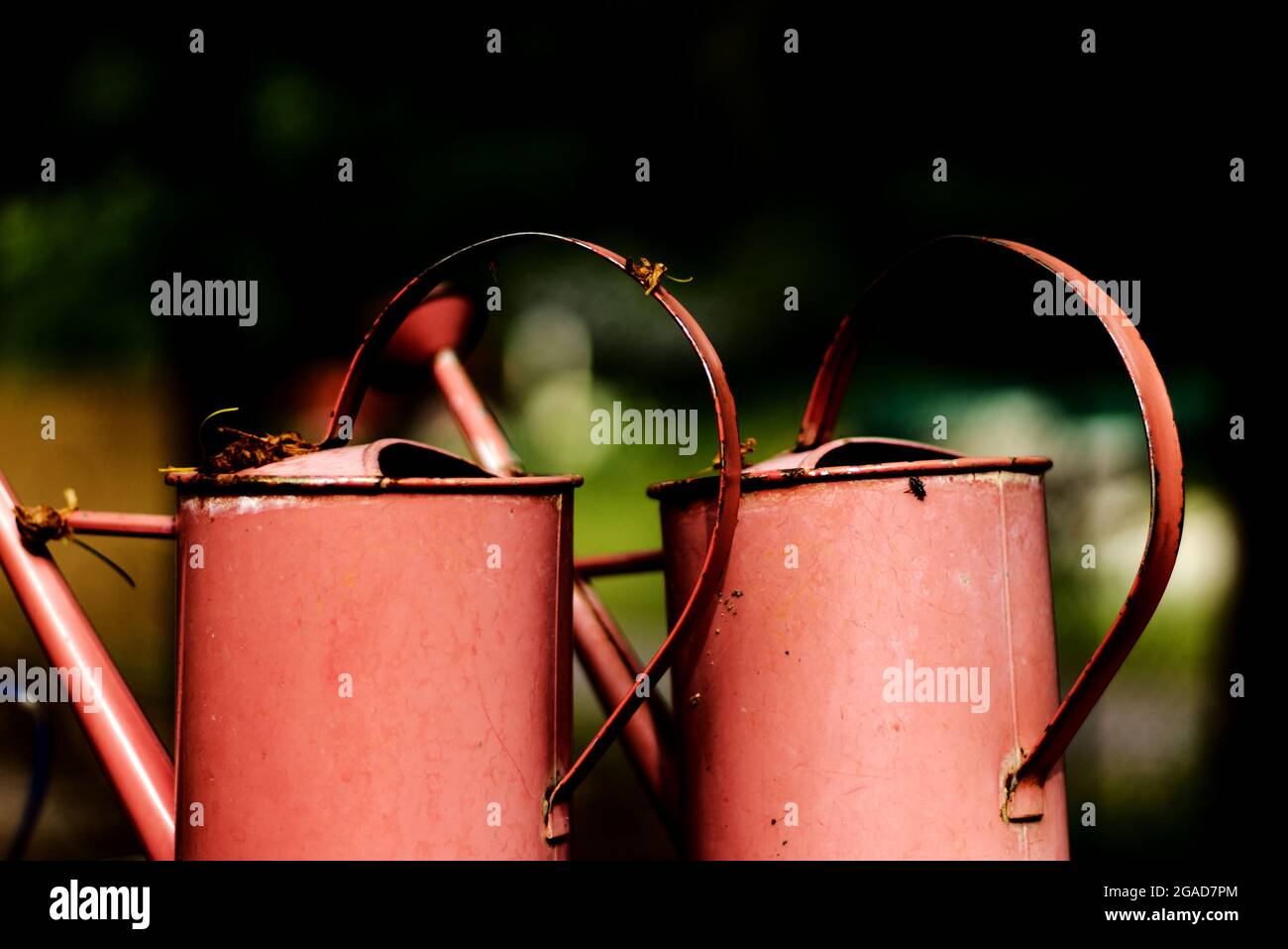 Alte rosa und Vintage Metall Gießkannen Stockfoto
