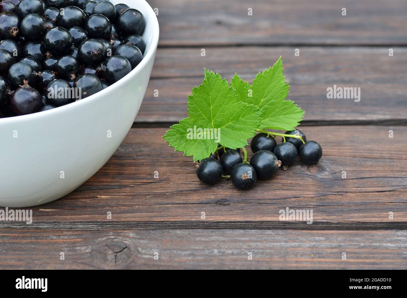 Reife Beeren von schwarzer Johannisbeere mit grünen Blättern auf einem alten Holztisch. Gesunde Ernährung Konzept. Stockfoto