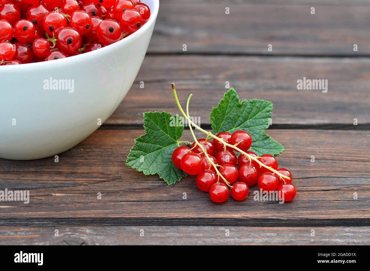 Ein paar reife rote Johannisbeeren auf einem alten Holztisch. Gesunde Ernährung Konzept. Stockfoto